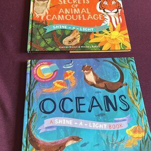 Usborn Shine-a-Light Books Lot (2)